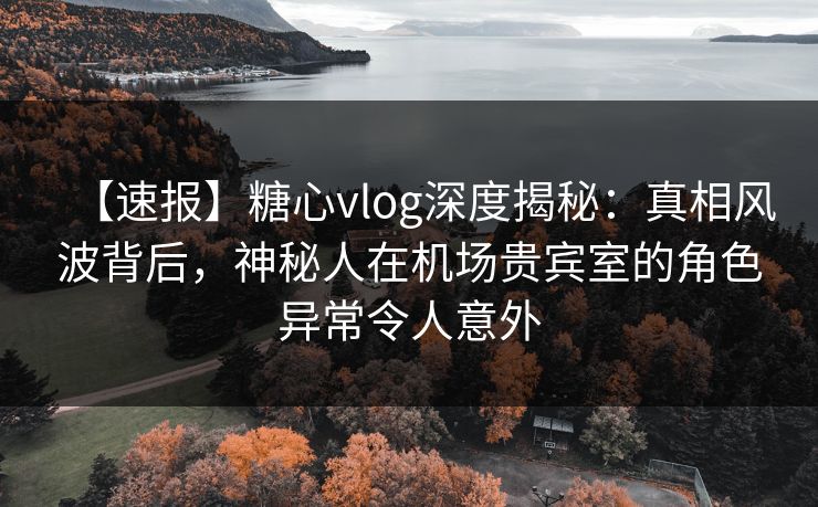【速报】糖心vlog深度揭秘：真相风波背后，神秘人在机场贵宾室的角色异常令人意外