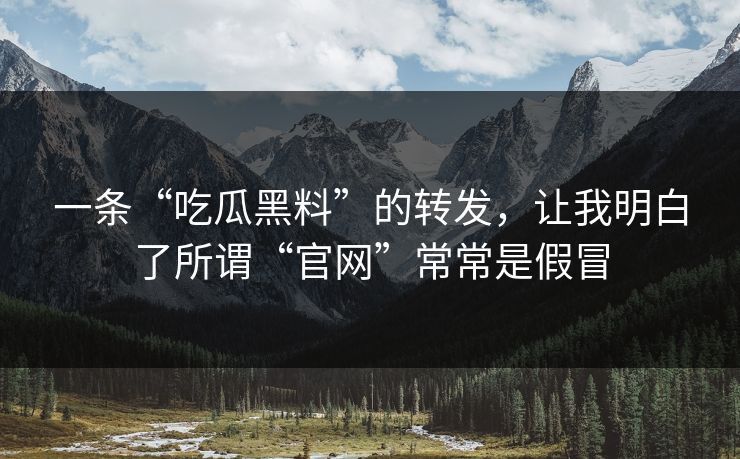 一条“吃瓜黑料”的转发，让我明白了所谓“官网”常常是假冒