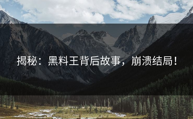揭秘：黑料王背后故事，崩溃结局！