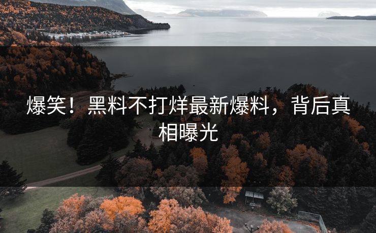 爆笑！黑料不打烊最新爆料，背后真相曝光