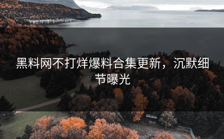 黑料网不打烊爆料合集更新，沉默细节曝光