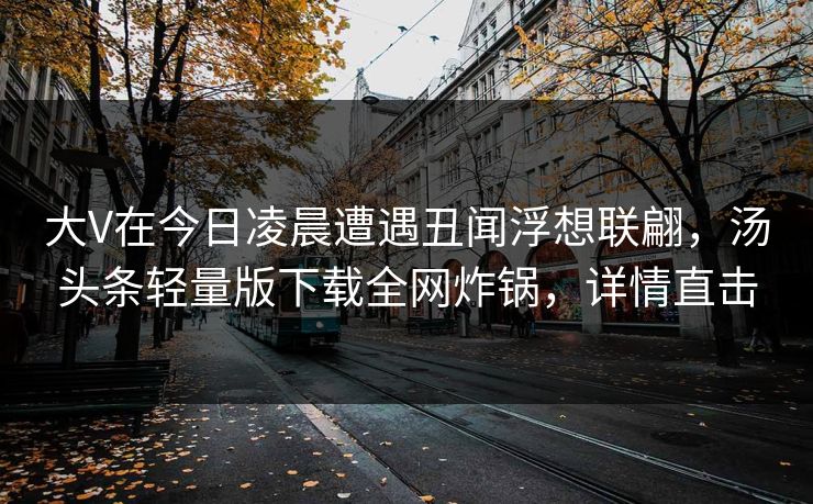 大V在今日凌晨遭遇丑闻浮想联翩，汤头条轻量版下载全网炸锅，详情直击