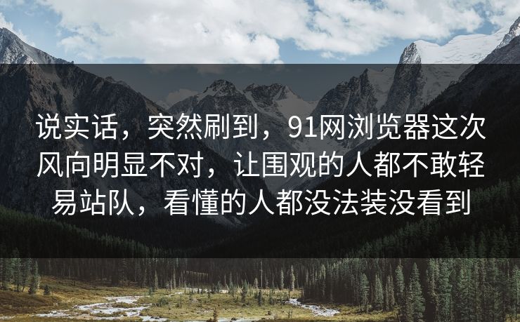 说实话，突然刷到，91网浏览器这次风向明显不对，让围观的人都不敢轻易站队，看懂的人都没法装没看到